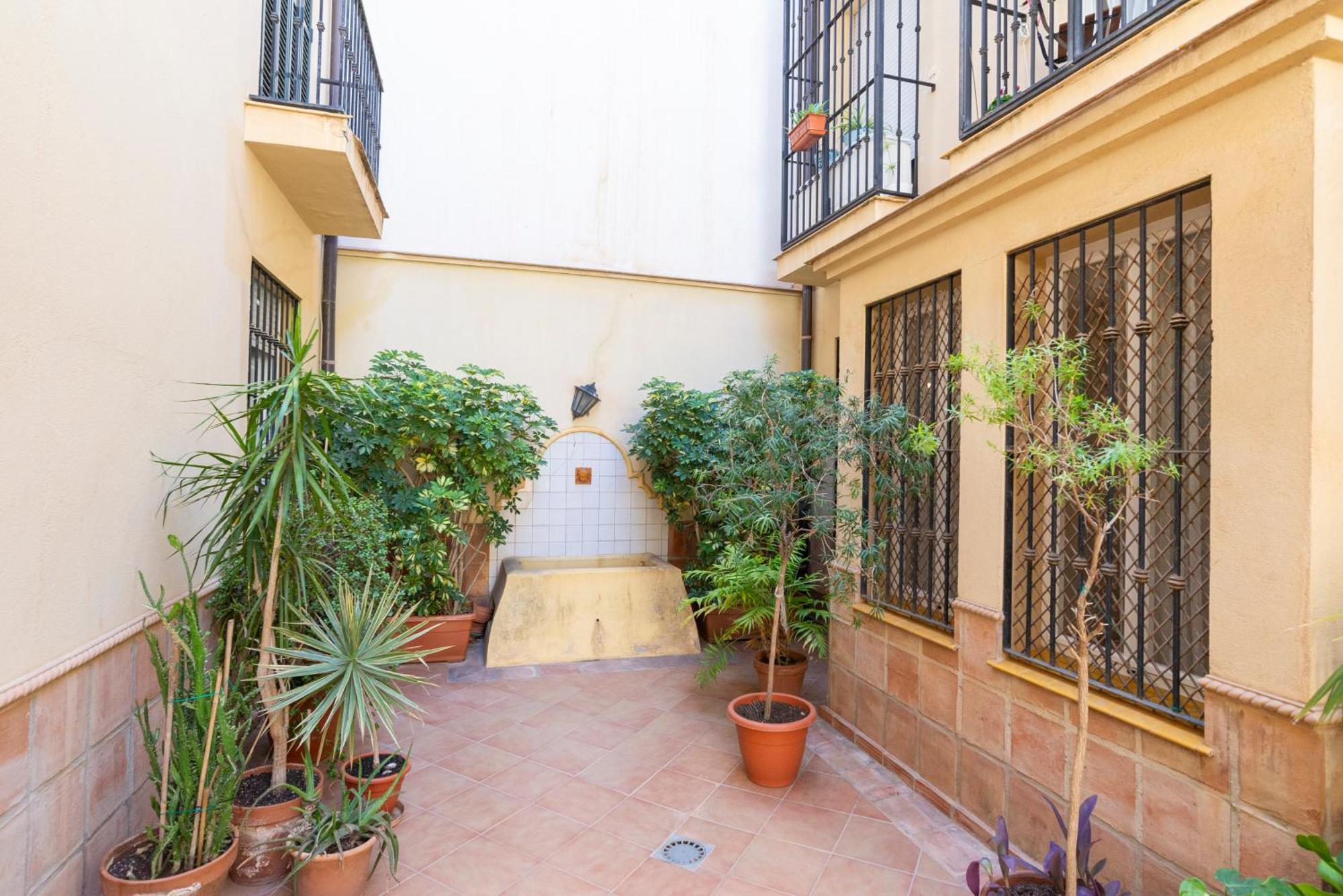 Apartment & Pool In Malaga City Center Eksteriør bilde